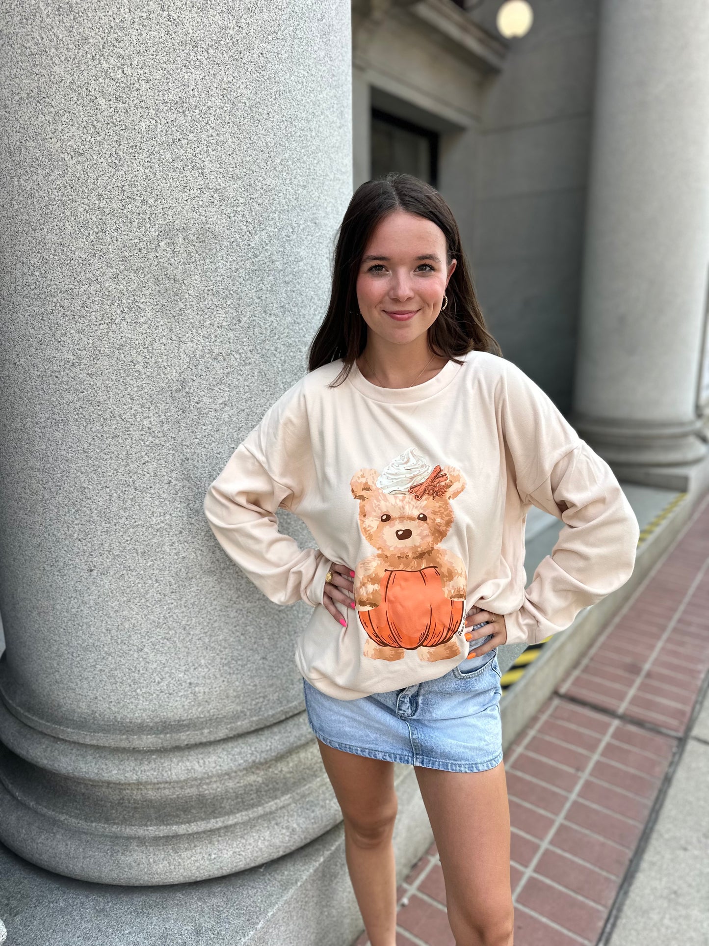 Teddy pumpkin spice pullover
