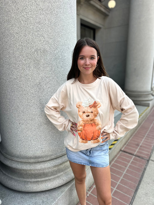 Teddy pumpkin spice pullover